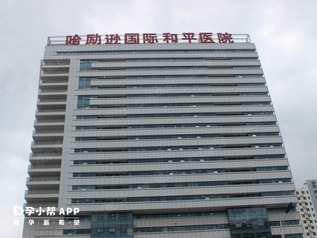 哈励逊国际和平医院