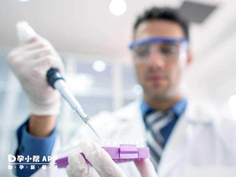XY精子分离术的科学观点
