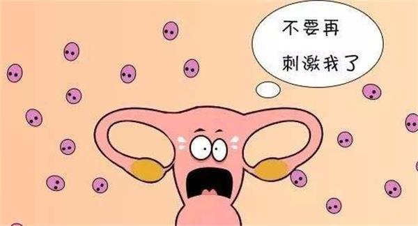 黄体期方案对于卵巢的刺激很小