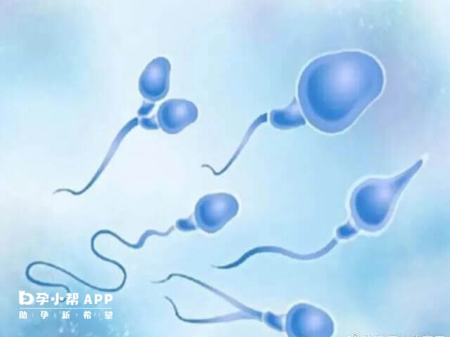 2022年中国有精子库的医院有27家